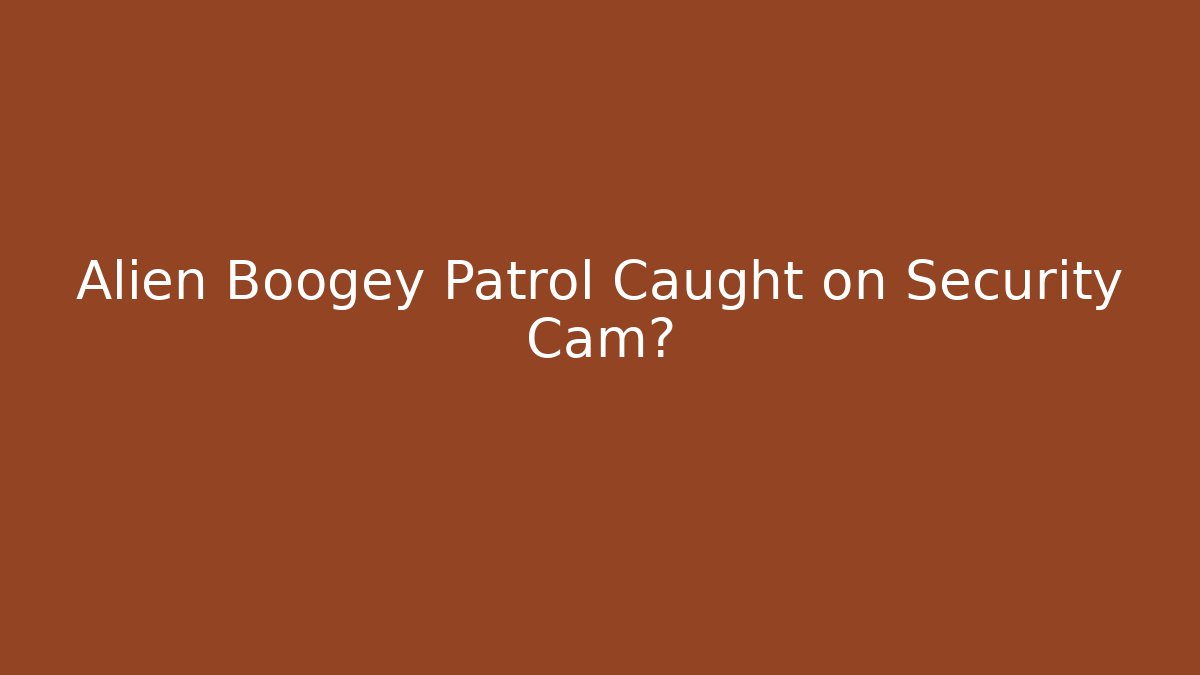 Alien Boogey Patrol Caught on Security Cam? - Critter Realm