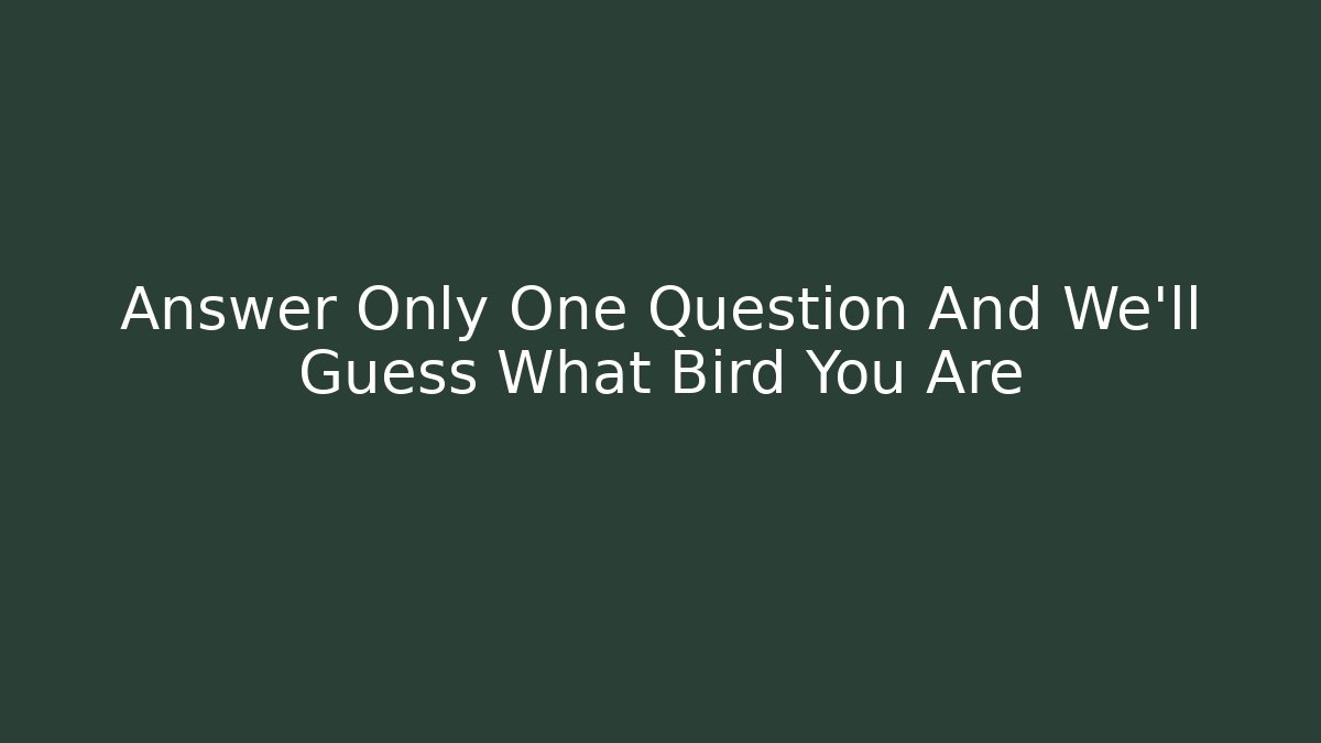 Answer Only One Question And We'll Guess What Bird You Are