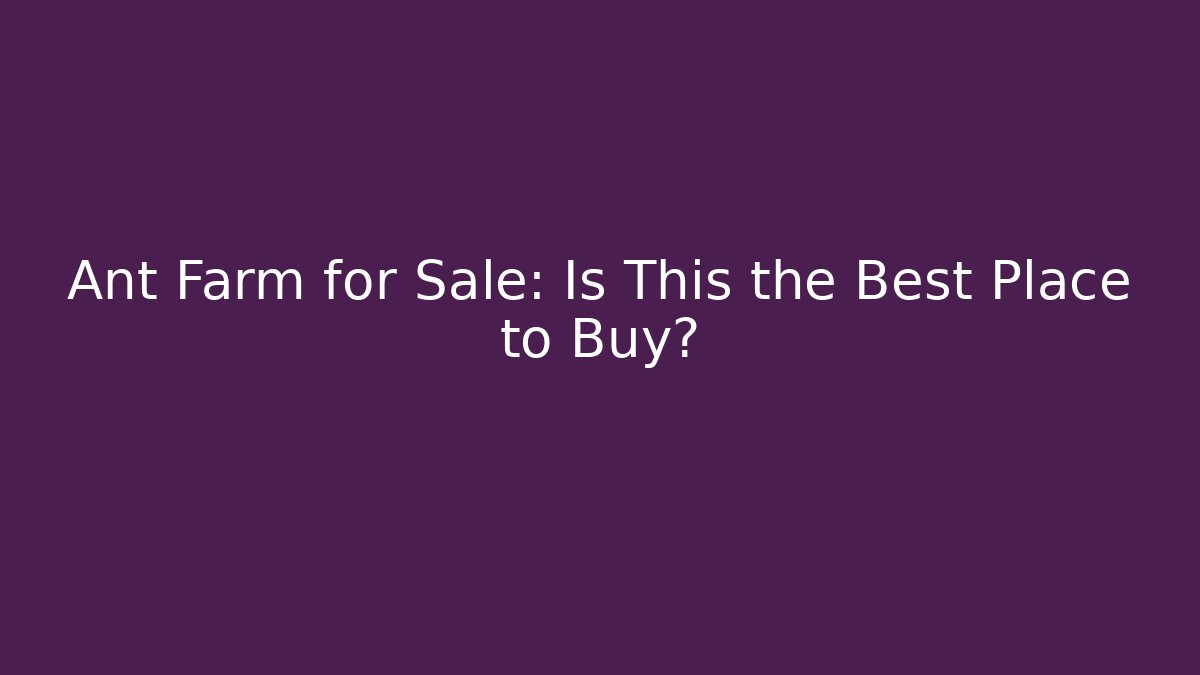 Ant Farm for Sale: Is This the Best Place to Buy?