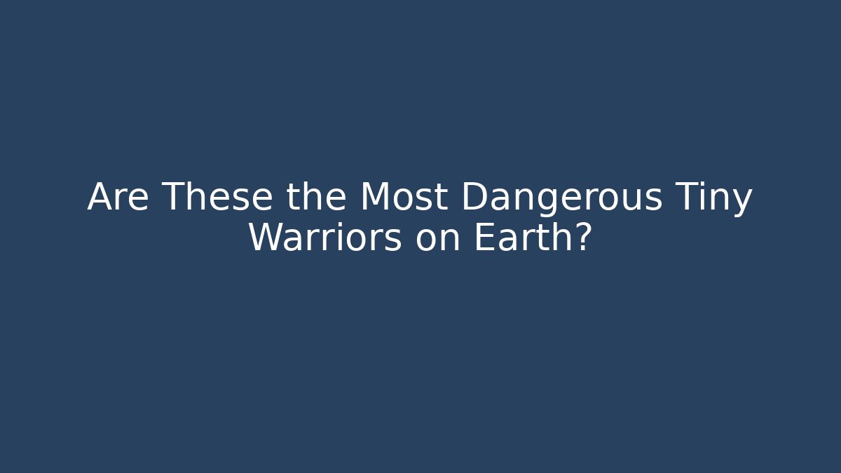 Are These the Most Dangerous Tiny Warriors on Earth?