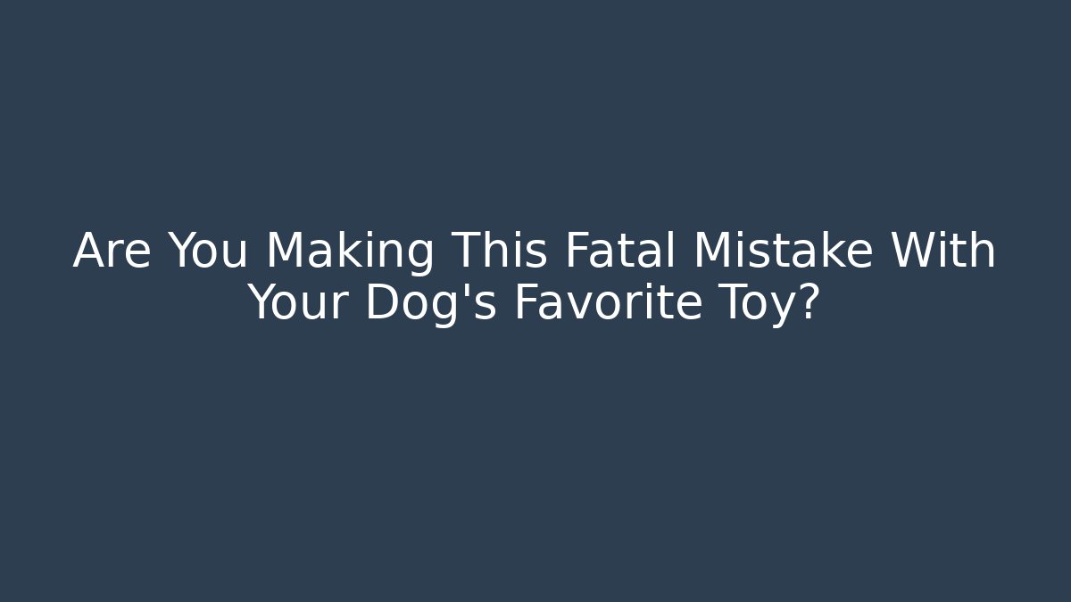 Are You Making This Fatal Mistake With Your Dog's Favorite Toy?