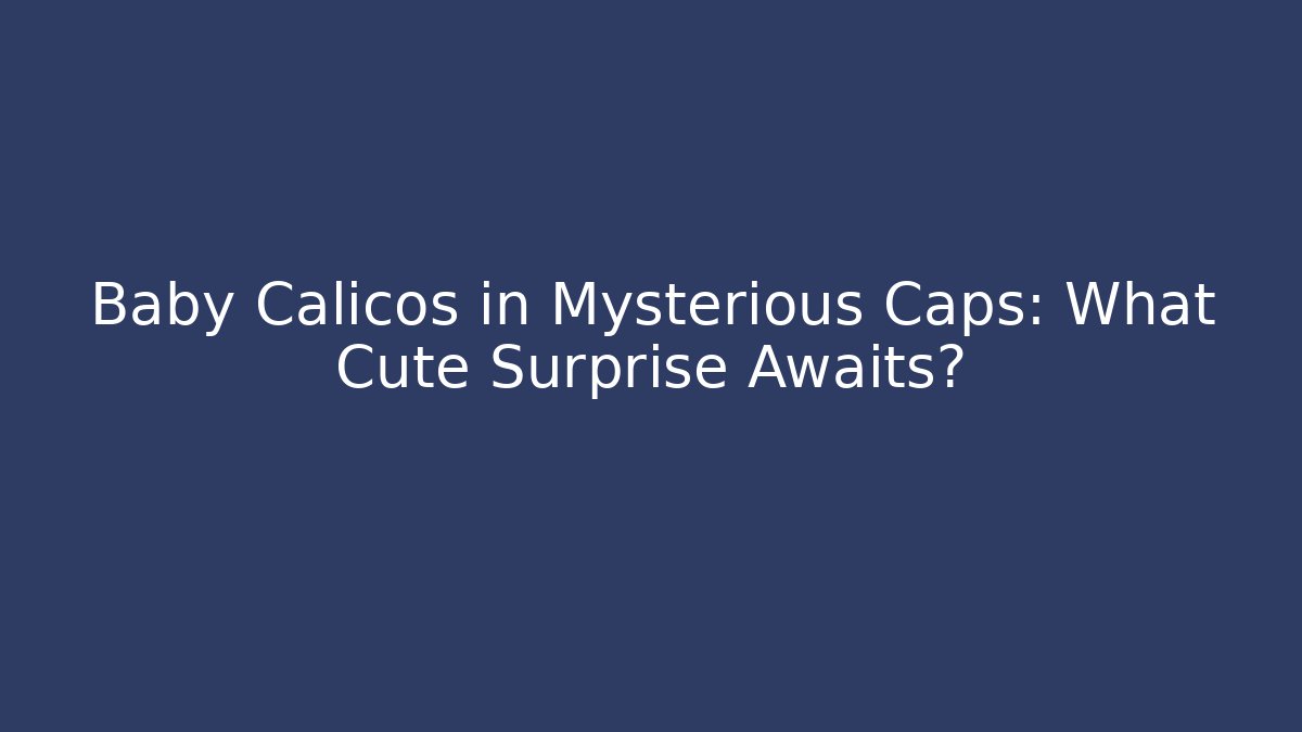Baby Calicos in Mysterious Caps: What Cute Surprise Awaits?