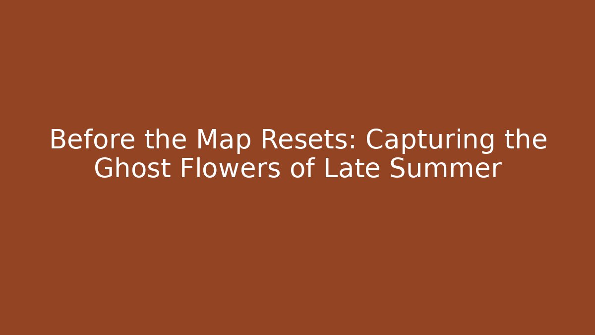 Before the Map Resets: Capturing the Ghost Flowers of Late Summer