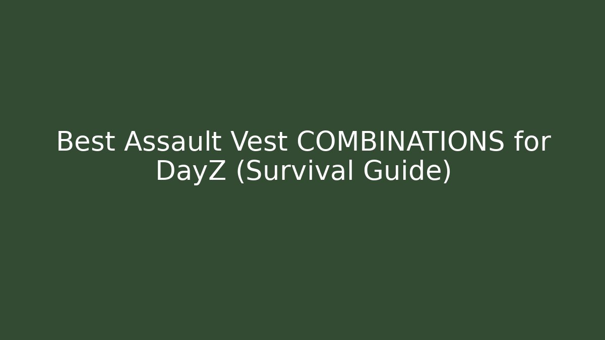 Best Assault Vest COMBINATIONS for DayZ (Survival Guide)