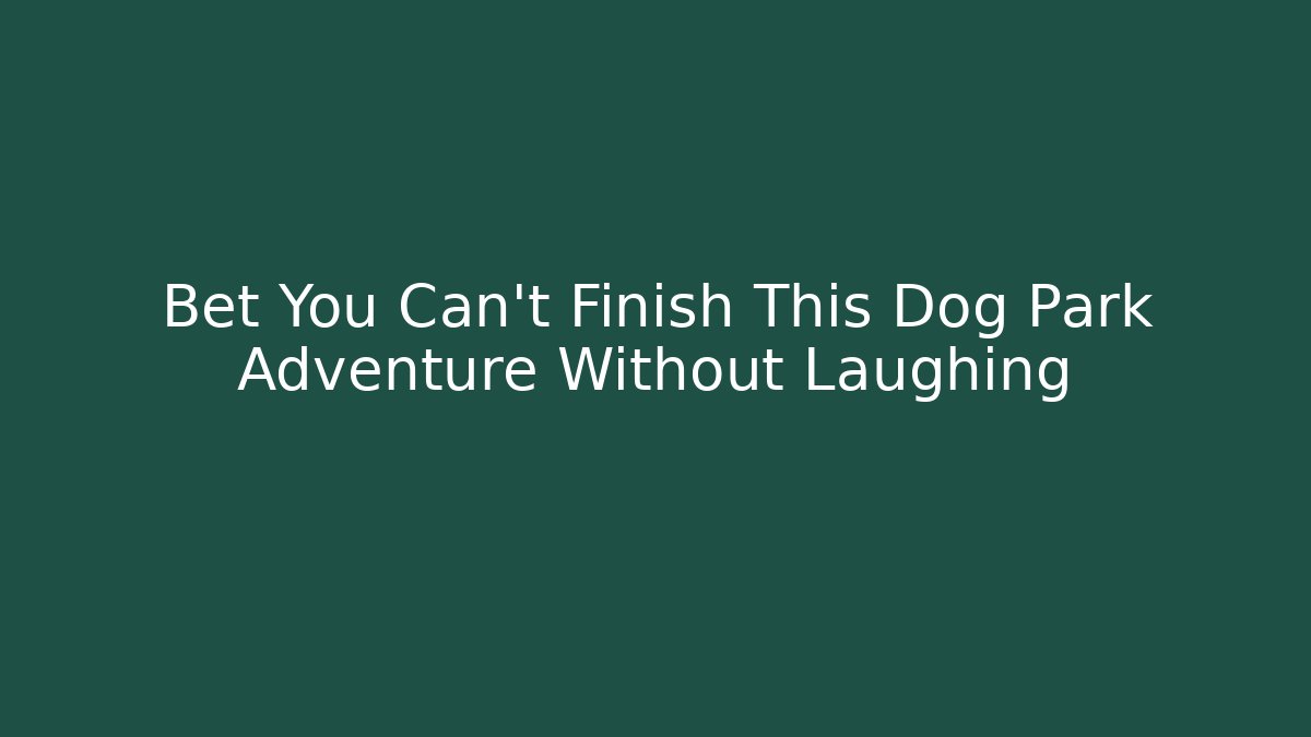 Bet You Can't Finish This Dog Park Adventure Without Laughing