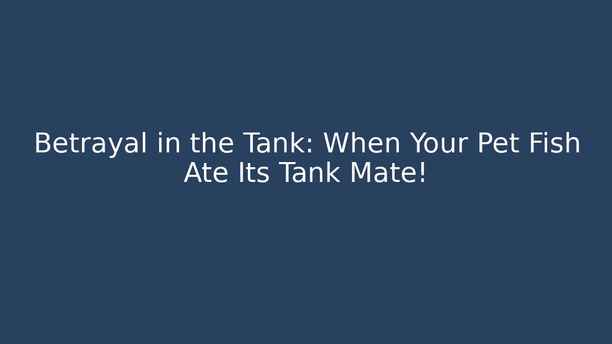 Betrayal in the Tank: When Your Pet Fish Ate Its Tank Mate!