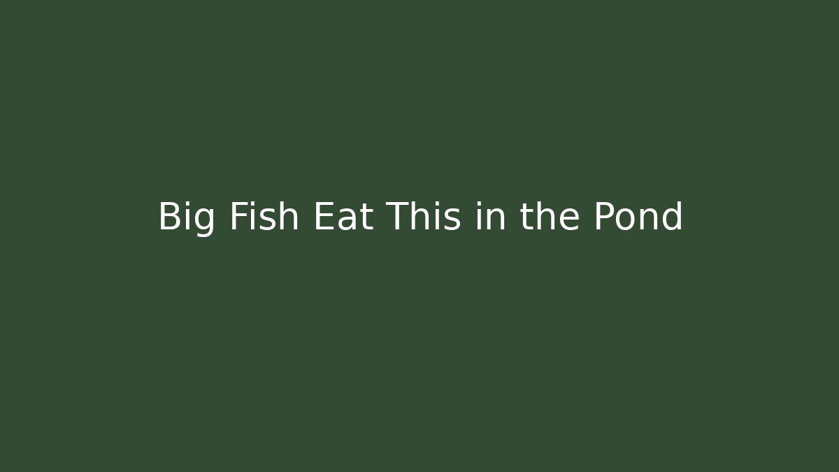Big Fish Eat This in the Pond