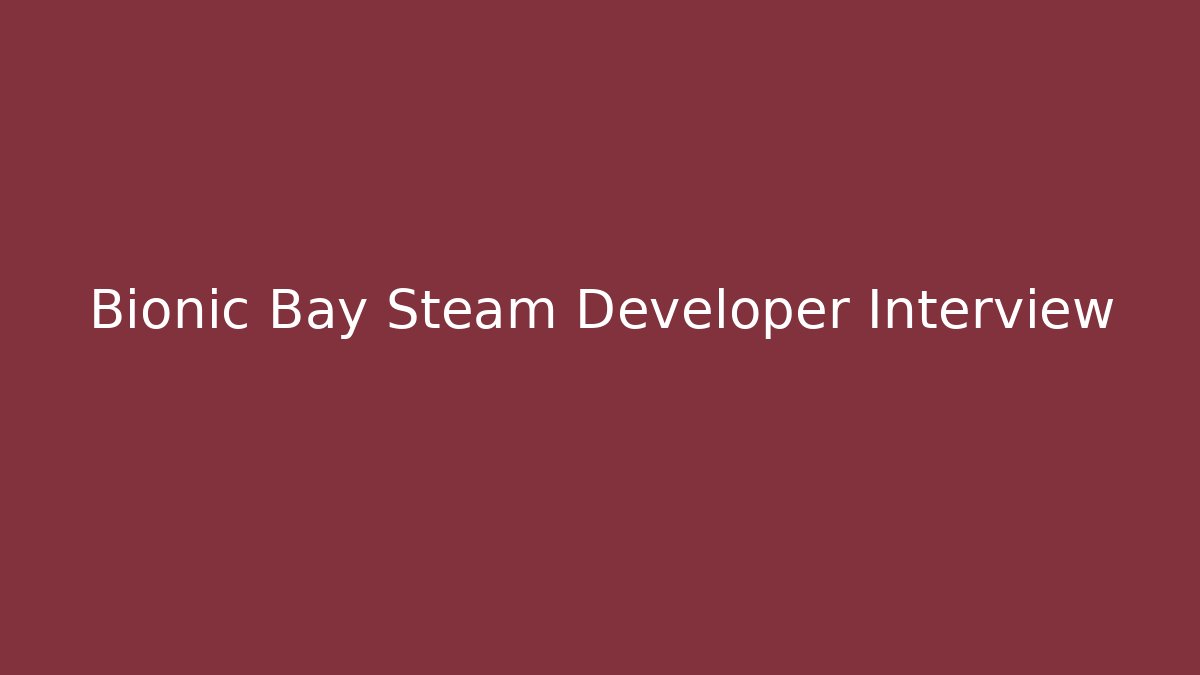 Bionic Bay Steam Developer Interview