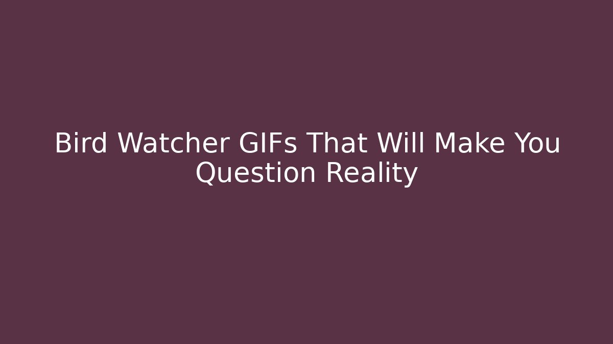 Bird Watcher GIFs That Will Make You Question Reality