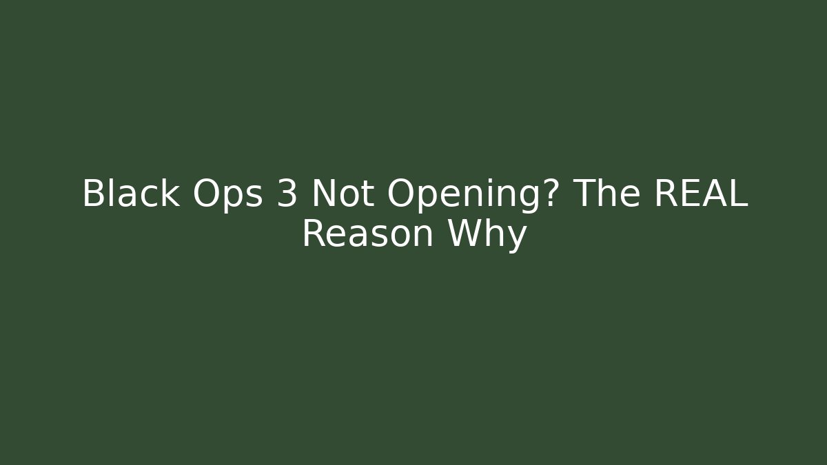 Black Ops 3 Not Opening? The REAL Reason Why - Critter Realm