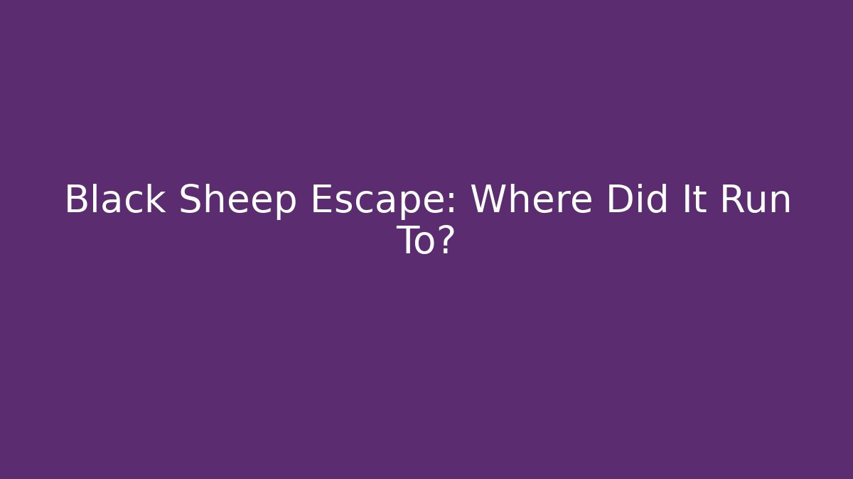 Black Sheep Escape: Where Did It Run To?