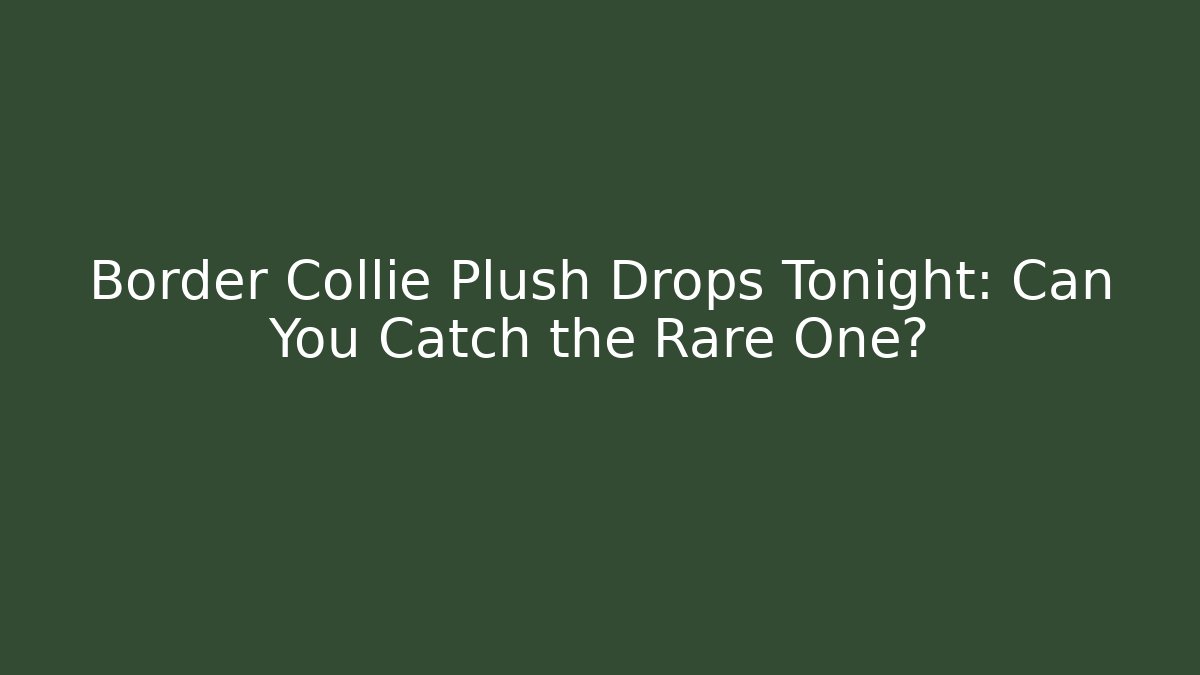 Border Collie Plush Drops Tonight: Can You Catch the Rare One?