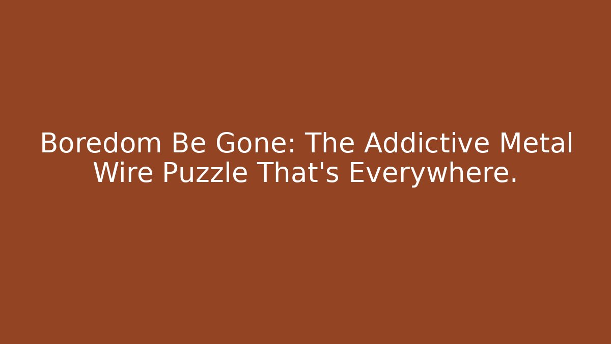 Boredom Be Gone: The Addictive Metal Wire Puzzle That's Everywhere.