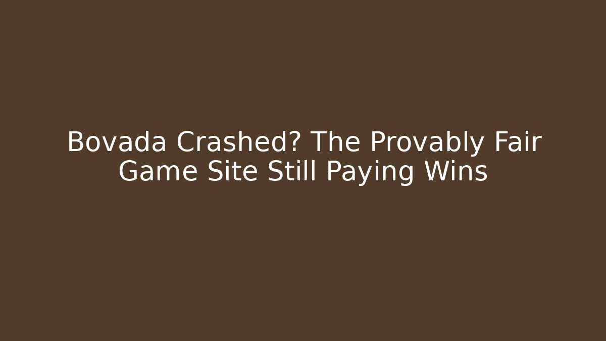 Bovada Crashed? The Provably Fair Game Site Still Paying Wins