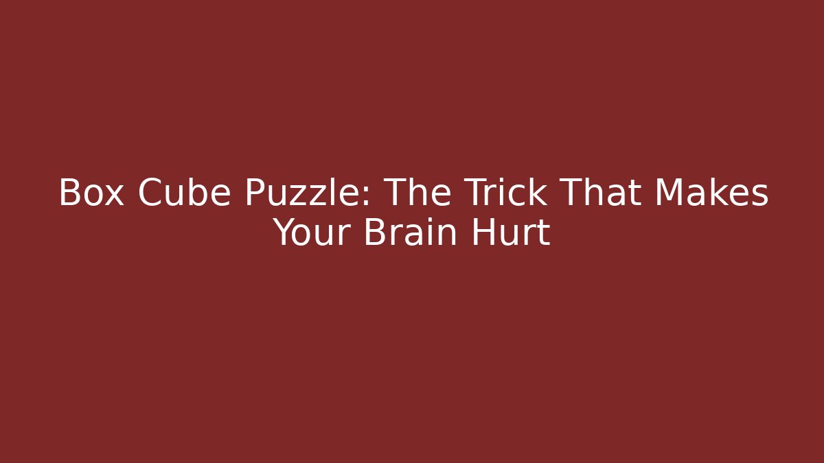 Box Cube Puzzle: The Trick That Makes Your Brain Hurt