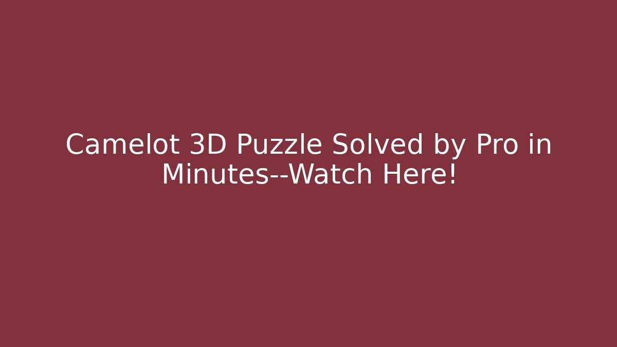 Camelot 3D Puzzle Solved by Pro in Minutes—Watch Here!