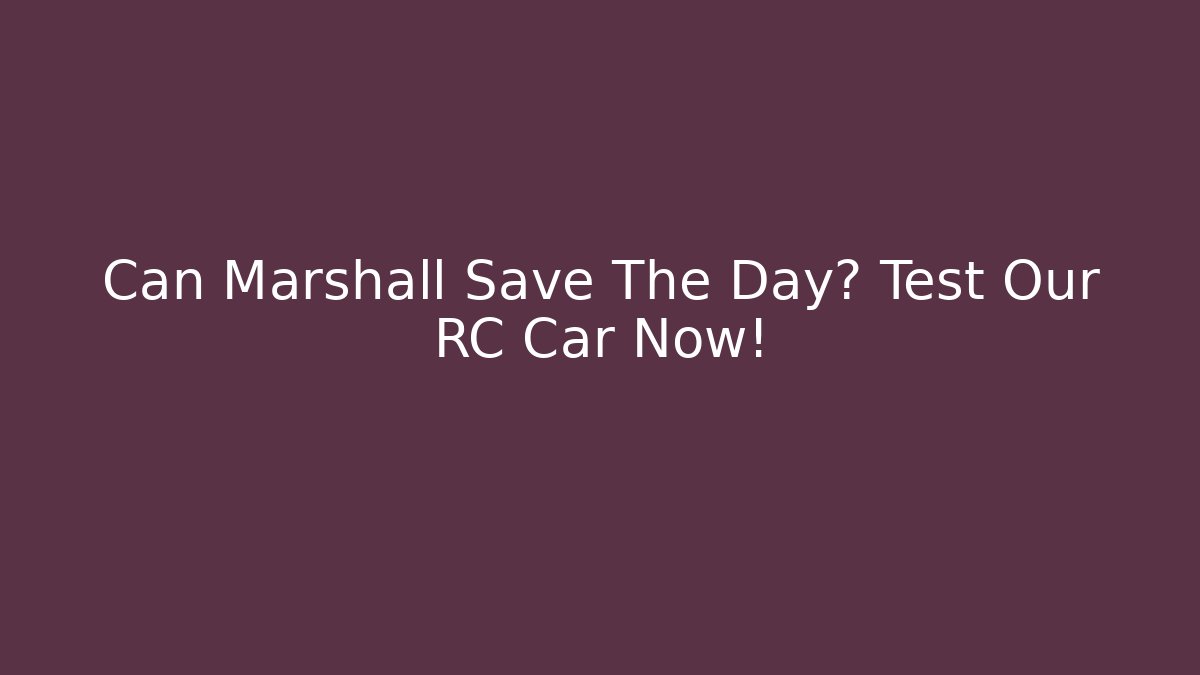 Can Marshall Save The Day? Test Our RC Car Now!