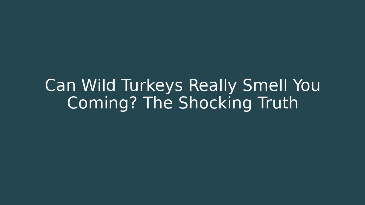 Can Wild Turkeys Really Smell You Coming? The Shocking Truth