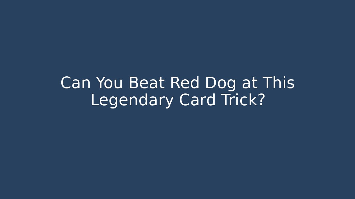 Can You Beat Red Dog at This Legendary Card Trick?