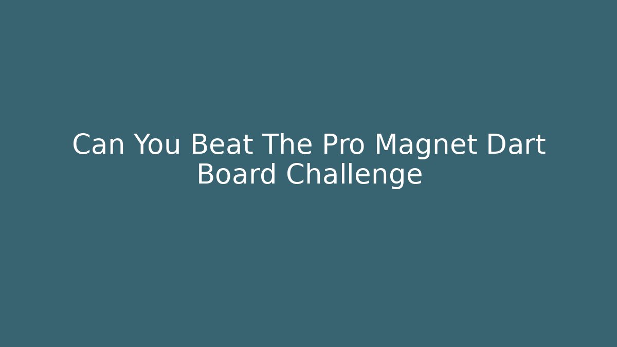 Can You Beat The Pro Magnet Dart Board Challenge