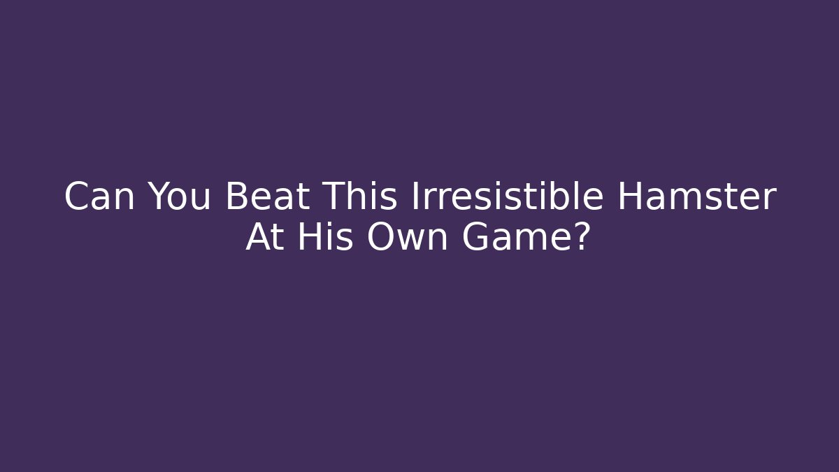 Can You Beat This Irresistible Hamster At His Own Game?