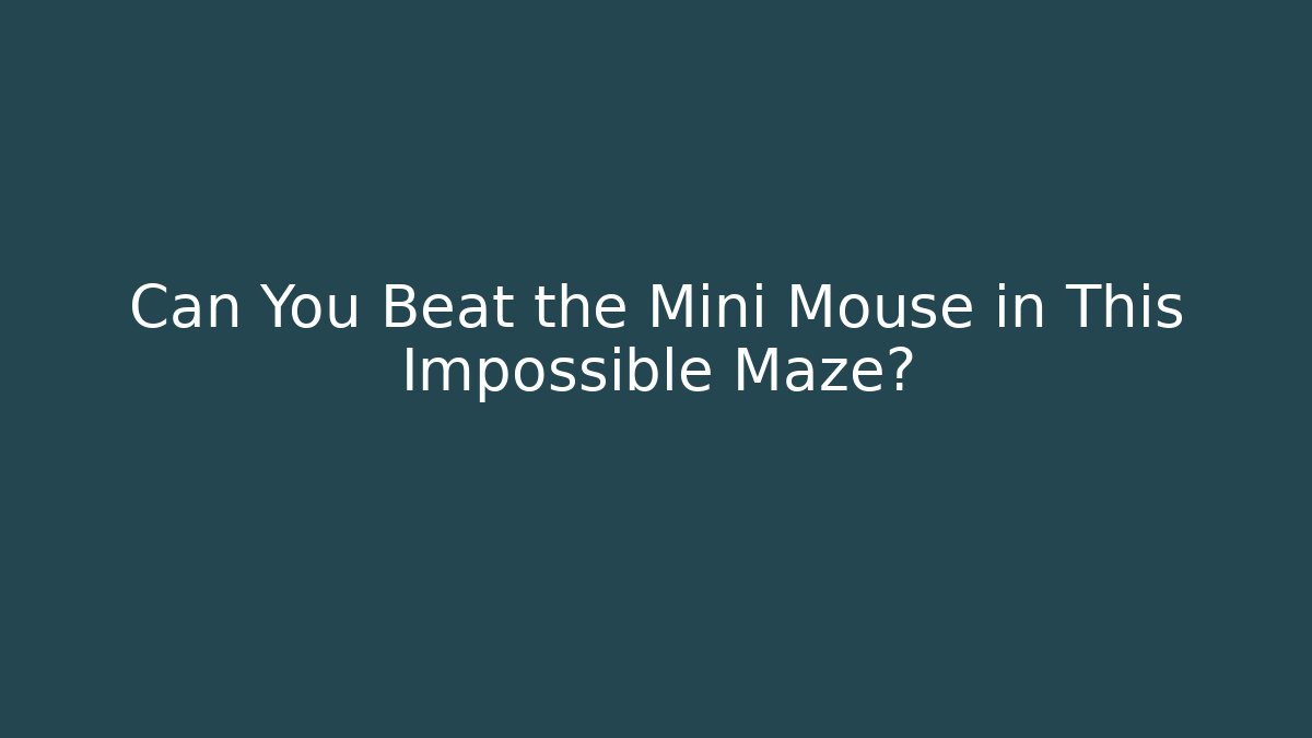 Can You Beat the Mini Mouse in This Impossible Maze? - Critter Realm