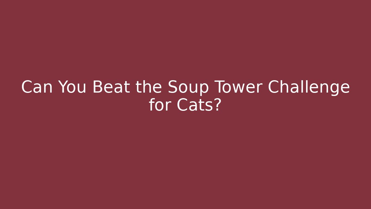 Can You Beat the Soup Tower Challenge for Cats?