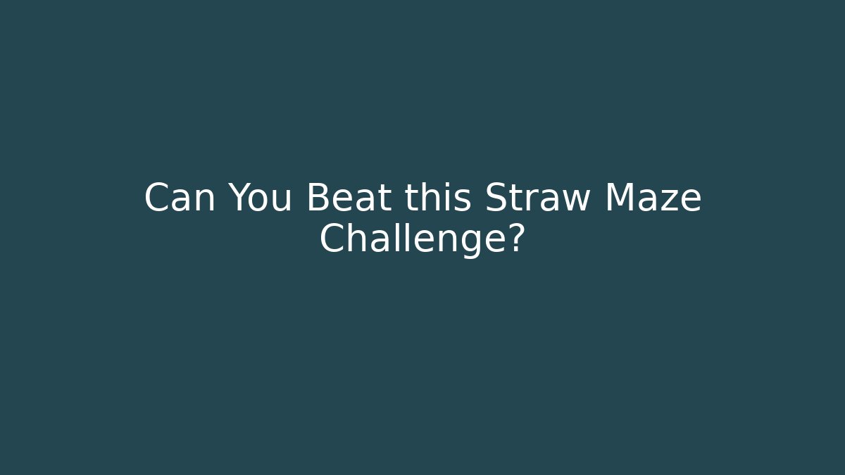 Can You Beat this Straw Maze Challenge?