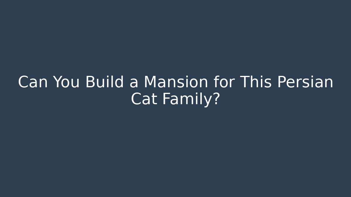 Can You Build a Mansion for This Persian Cat Family?