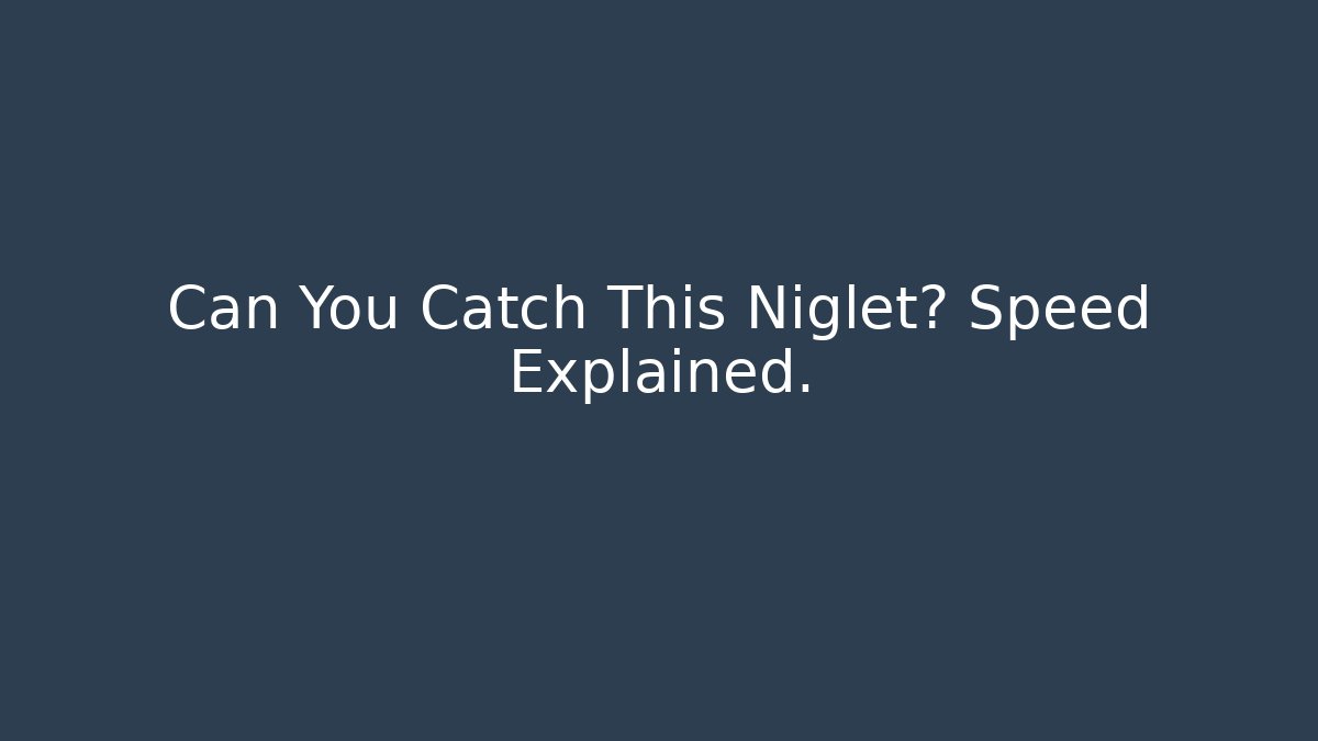 Can You Catch This Niglet? Speed Explained.