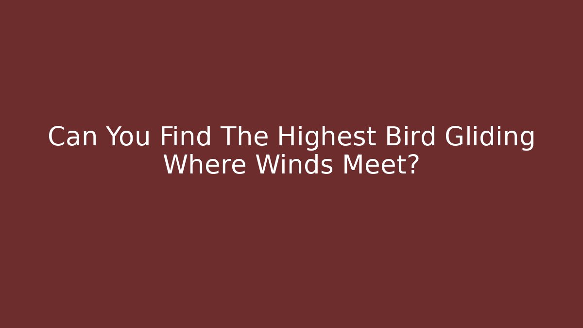 Can You Find The Highest Bird Gliding Where Winds Meet?