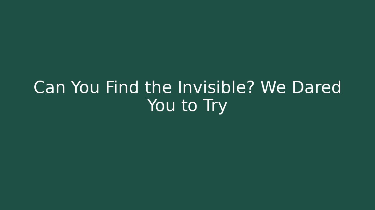 Can You Find the Invisible? We Dared You to Try
