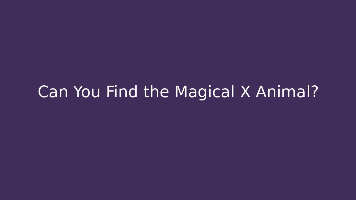 Can You Find the Magical X Animal?