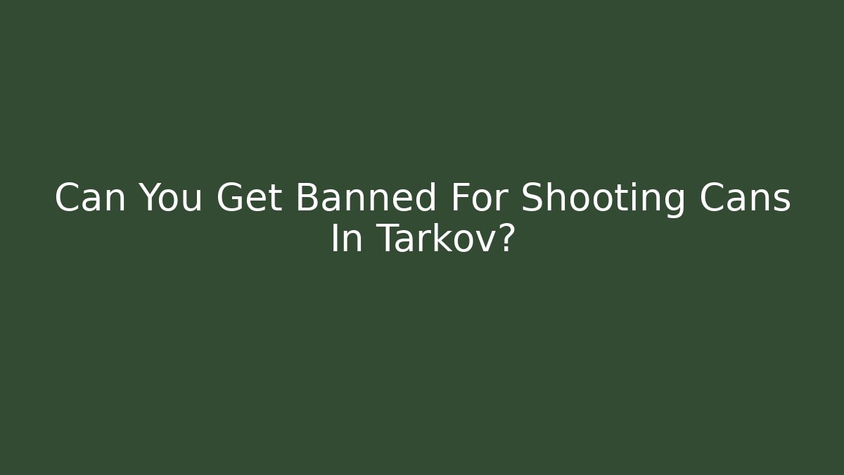 Can You Get Banned For Shooting Cans In Tarkov?