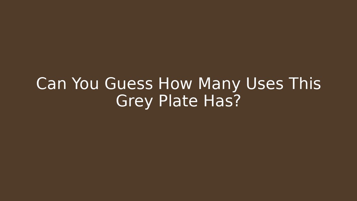 Can You Guess How Many Uses This Grey Plate Has?