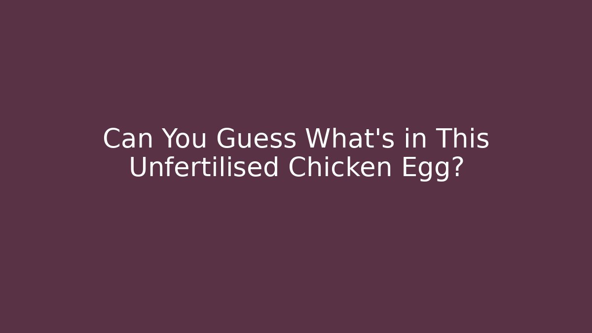 Can You Guess What’s in This Unfertilised Chicken Egg?