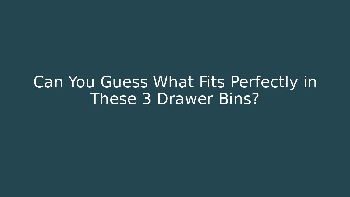 Can You Guess What Fits Perfectly in These 3 Drawer Bins? - Critter Realm