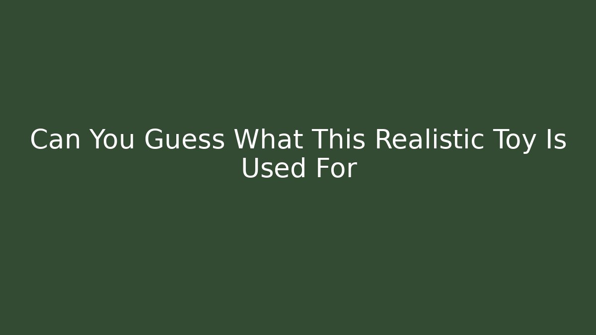 Can You Guess What This Realistic Toy Is Used For