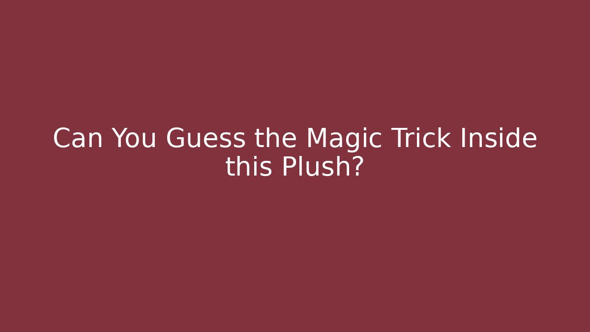 Can You Guess the Magic Trick Inside this Plush?