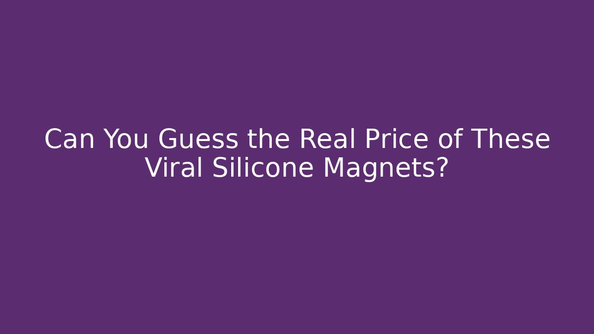 Can You Guess the Real Price of These Viral Silicone Magnets?
