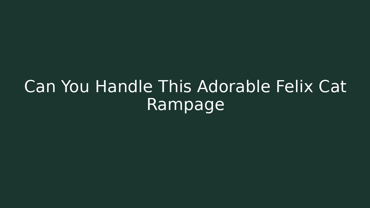 Can You Handle This Adorable Felix Cat Rampage