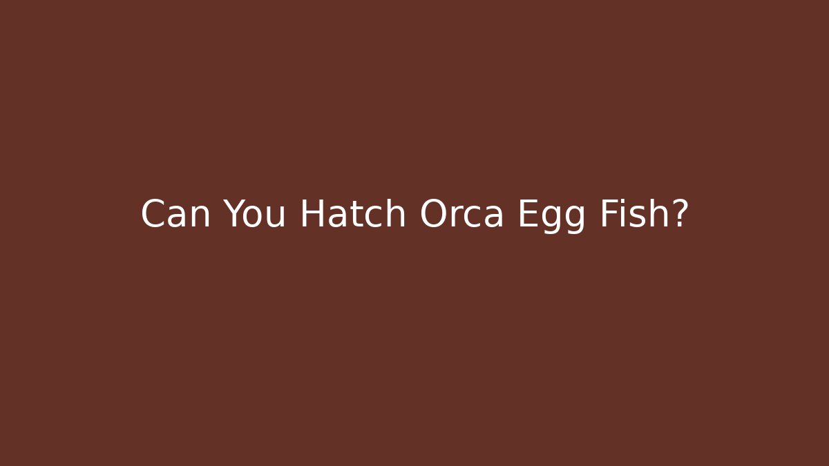 Can You Hatch Orca Egg Fish? - Critter Realm