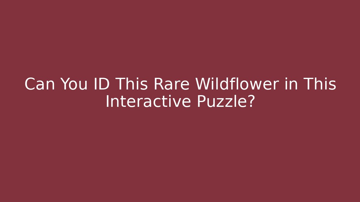 Can You ID This Rare Wildflower in This Interactive Puzzle?