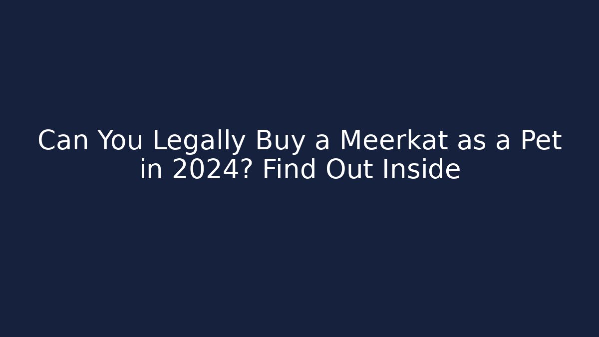Can You Legally Buy a Meerkat as a Pet in 2024? Find Out Inside