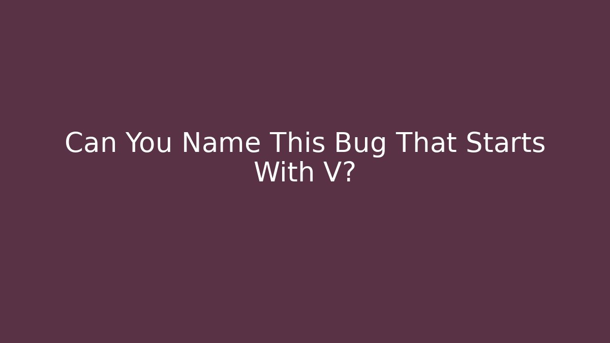 Can You Name This Bug That Starts With V?