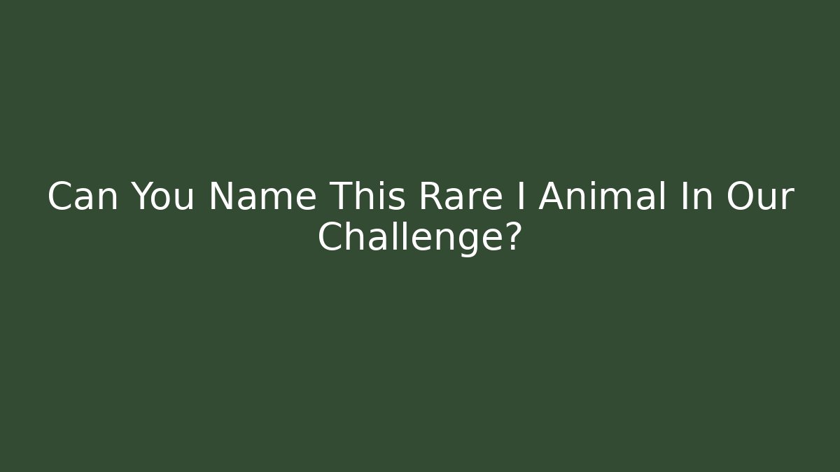 Can You Name This Rare I Animal In Our Challenge?