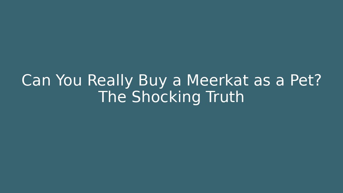 Can You Really Buy a Meerkat as a Pet? The Shocking Truth
