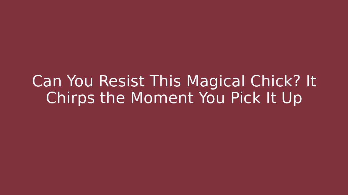 Can You Resist This Magical Chick? It Chirps the Moment You Pick It Up