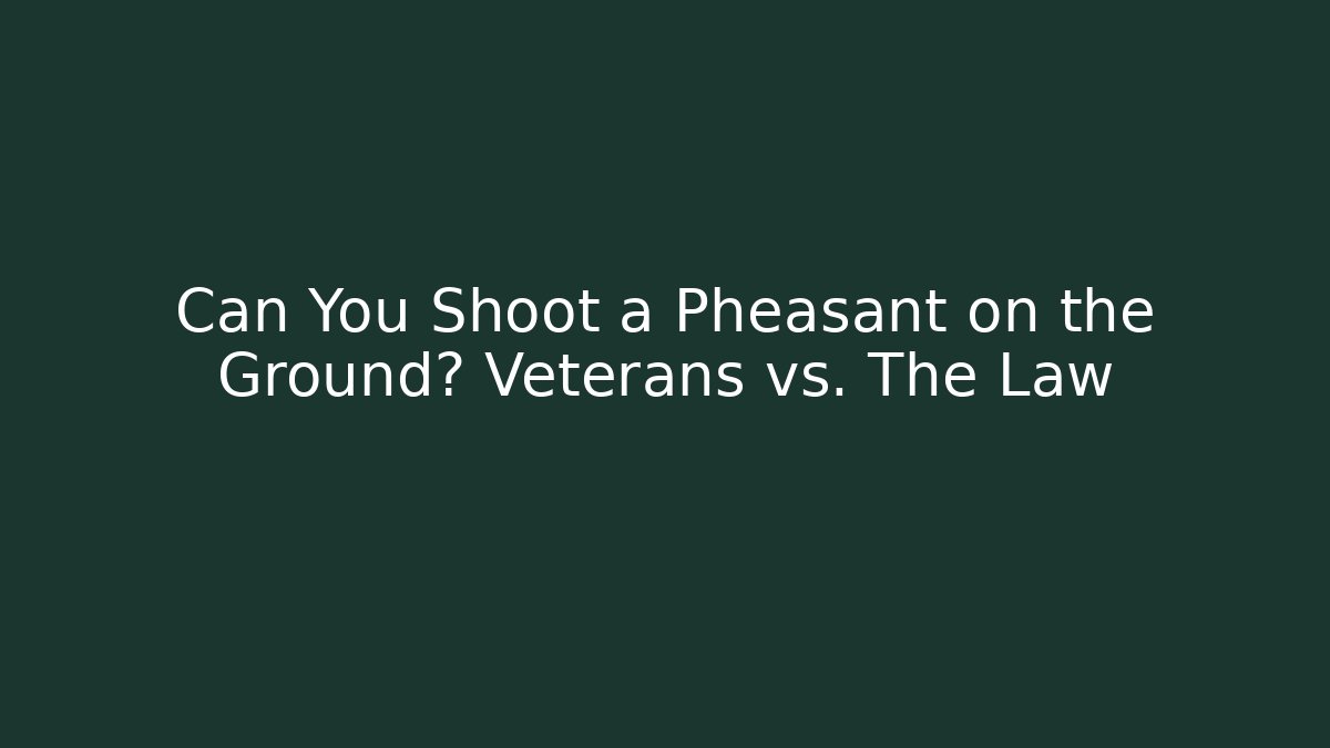 Can You Shoot a Pheasant on the Ground? Veterans vs. The Law - Critter Realm