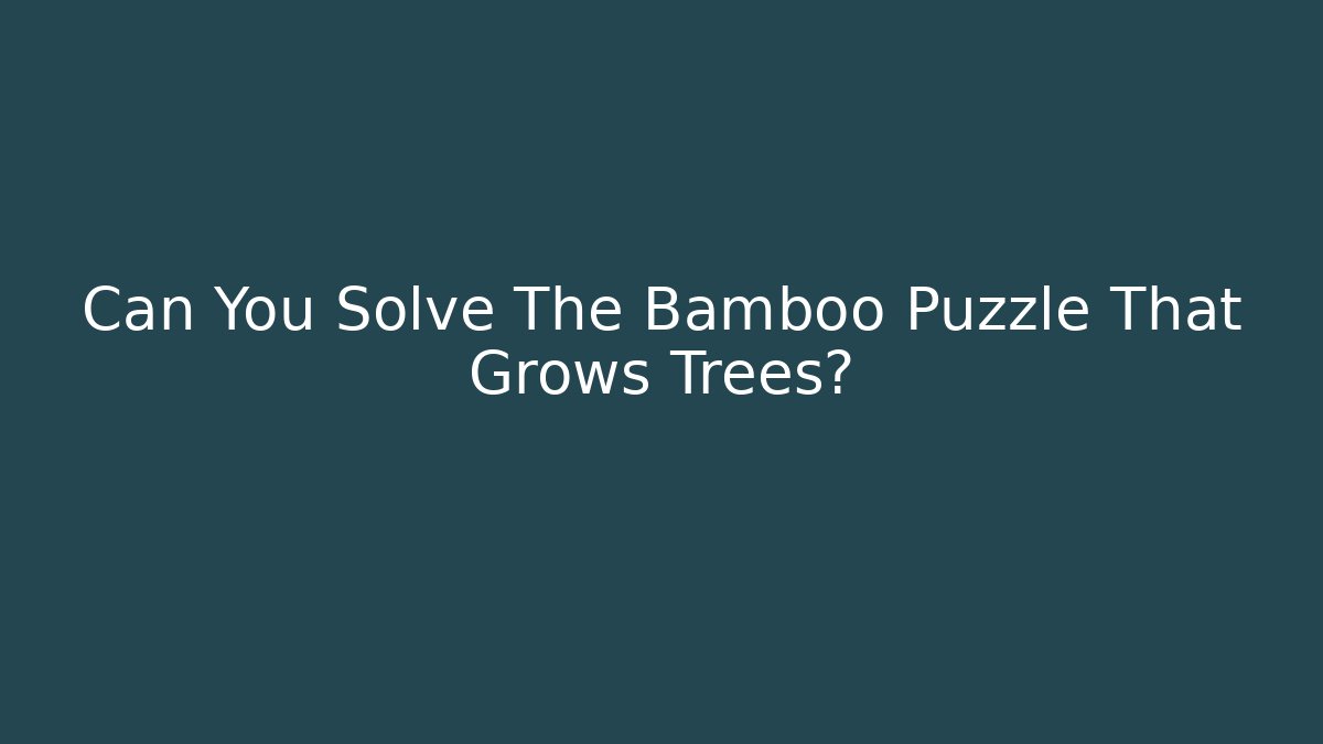 Can You Solve The Bamboo Puzzle That Grows Trees?